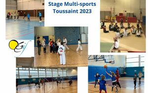 Stage Multi-sports de la Toussaint