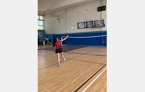 Badminton