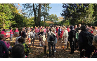 marche octobre rose