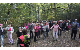 marche octobre rose