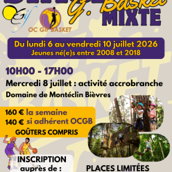 Stage Basket de juillet 2026